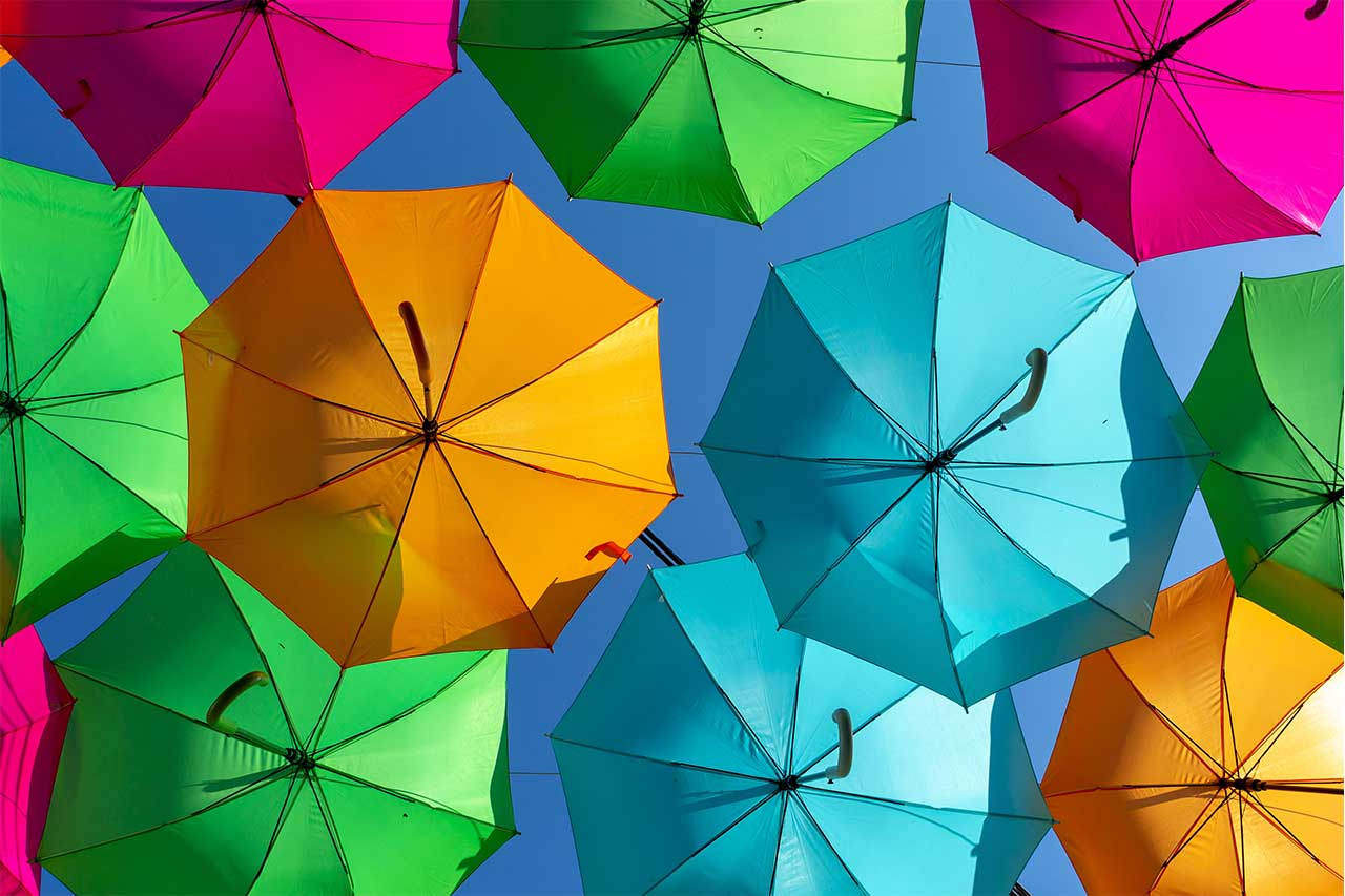 branded eco umbrellas