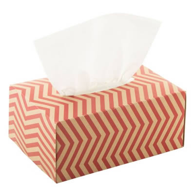 Personalised Paper handkerchiefs