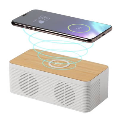Custom Eco friendly gadgets