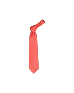 COLOURS - necktie