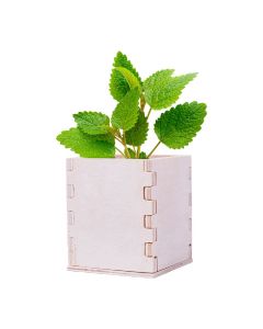 MERIN - mint herb pot