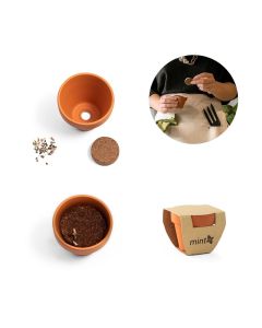 MENTHA - Clay pot with mint