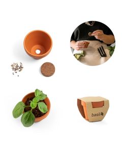 BASILI - Clay pot with basil