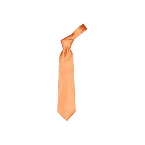 COLOURS - necktie