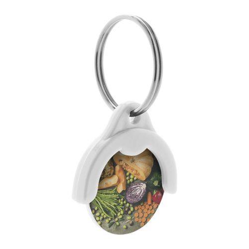 TOKEN - trolley coin keyring
