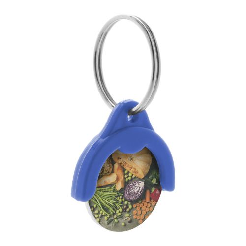 TOKEN - trolley coin keyring