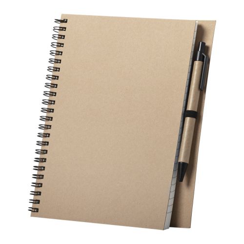 SALIX - notebook
