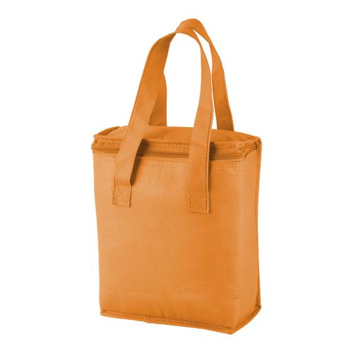 FRIDRATE - cooler bag