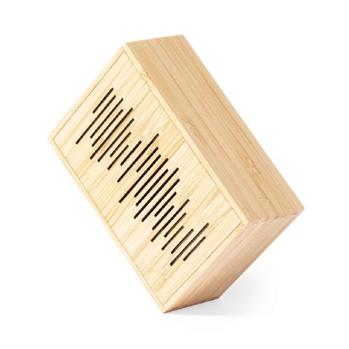 LAURENS FSC - Speaker