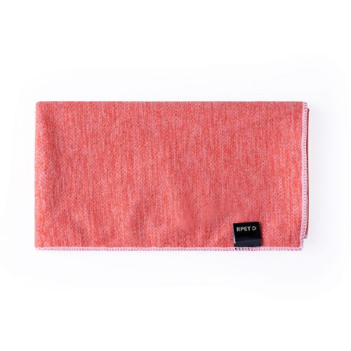 GUDS - Absorbent Towel