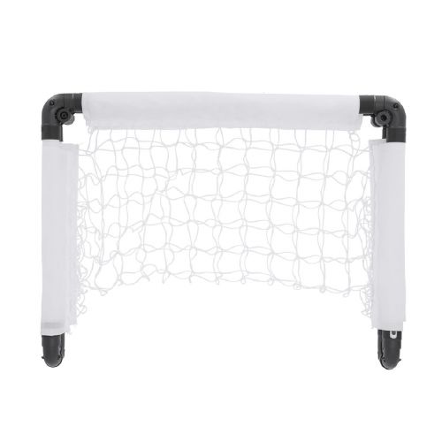 BIOSAN - Goal Post