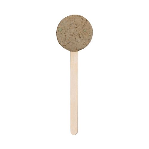 EBELDY - Seed Lollipop