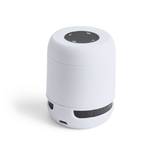 BRAISS - Speaker