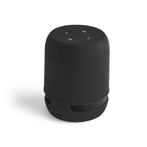 BRAISS - Speaker