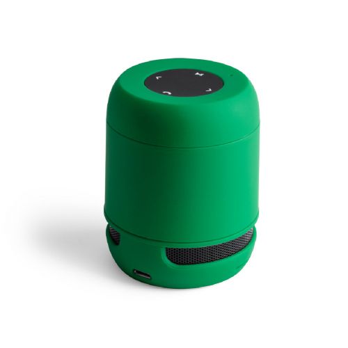 BRAISS - Speaker