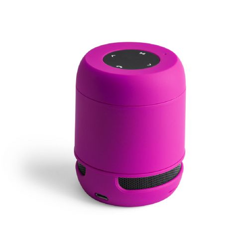 BRAISS - Speaker