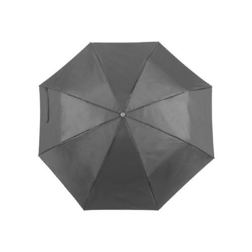 ZIANT - Umbrella