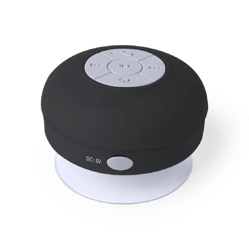 RARIAX - Speaker