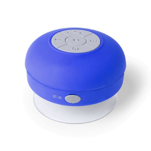RARIAX - Speaker