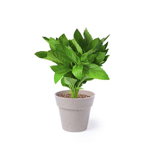 NERTEL - Flowerpot Set