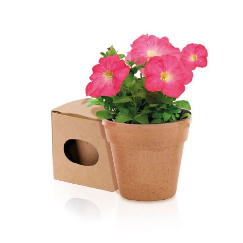 ADVERT - Flowerpot
