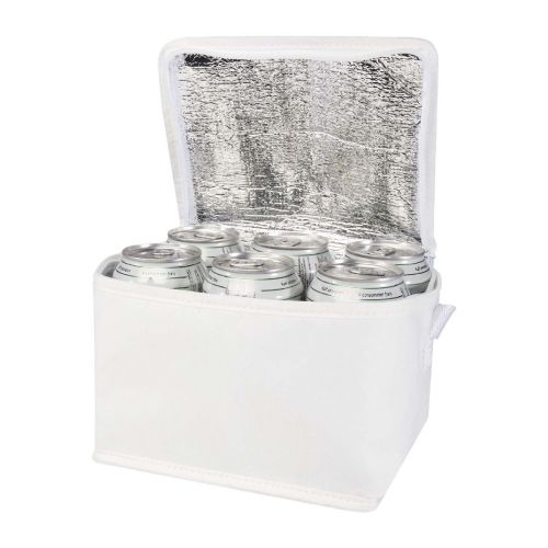SPECTRUM - 6-can recycled non-woven cooler bag 4L