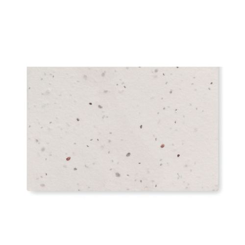 ASIDA - Wildflower seed business card.