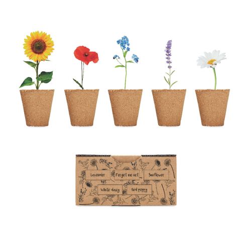 FLOWERS - Growing kit