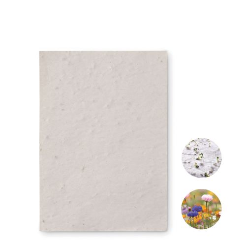 ASIDO - A6 wildflower seed paper sheet