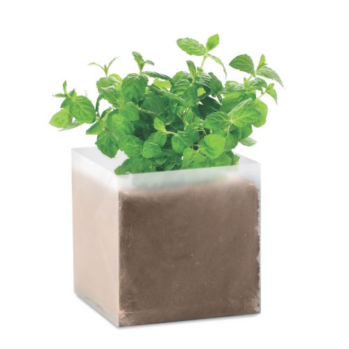 MINT - Compost with seeds ""