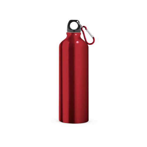LANDSCAPE L - Aluminium sports bottle with carabiner 800 mL