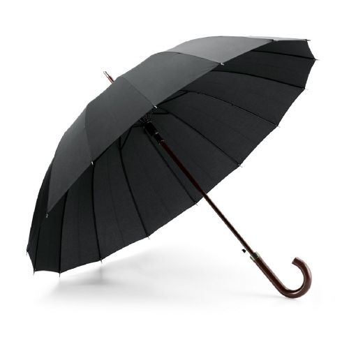 HEDI - 16 rib automatic opening umbrella in 190T pongee with automatic opening