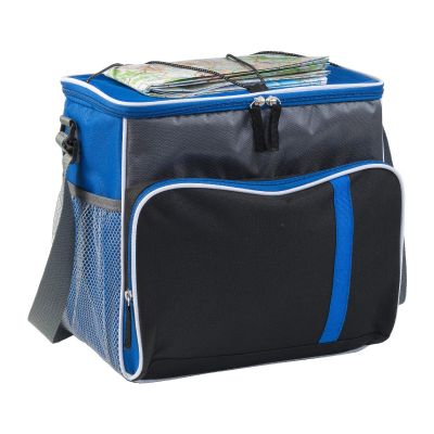 RAVI - Polyester (600D) cooler bag 