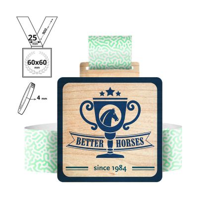 KAWASAKI - plywood medal 4mm