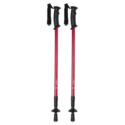 PULPIT - nordic walking sticks