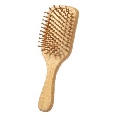 PALAU - hairbrush