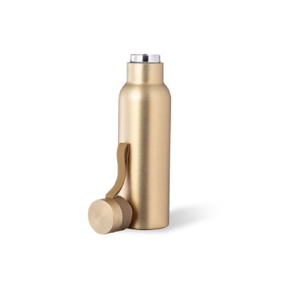 ROACH - Insulated Bottle