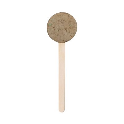 EBELDY - Seed Lollipop