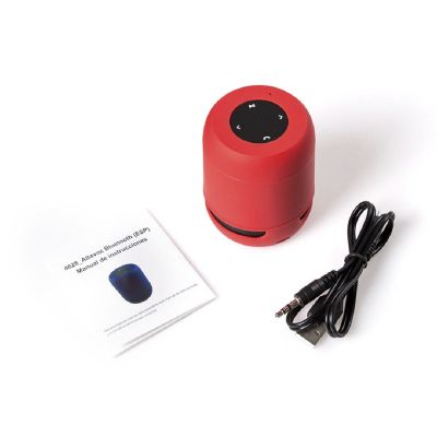 BRAISS - Speaker