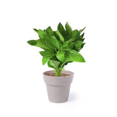 NERTEL - Flowerpot Set