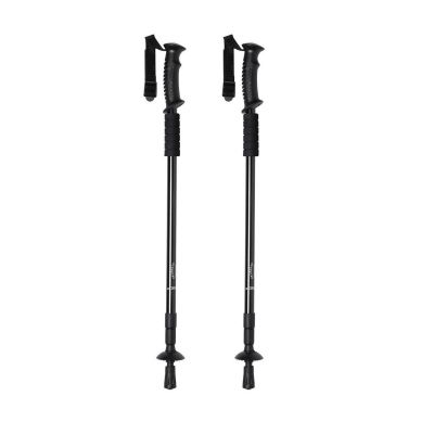 BRULEN - Walking Poles Set