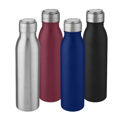 HARPER - 700 ml stainless steel water bottle with metal loop
