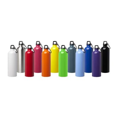 OREGON - 750 ml RCS certified single wall stainless steel water bottle with carabiner