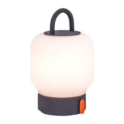 KOODUU LOOME - portable lamp