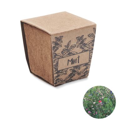 MINT KIT - Mint seeds growing kit