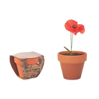 RED POPPY - Terracotta pot 'poppy'