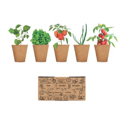 SALAD - Growing kit