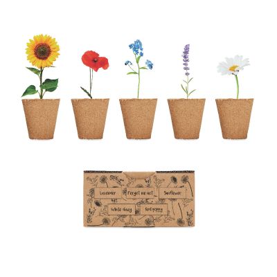 FLOWERS - Growing kit