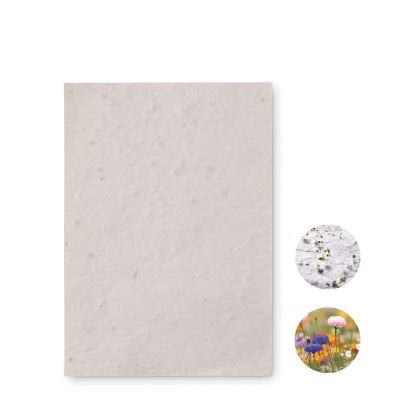 ASIDO - A6 wildflower seed paper sheet