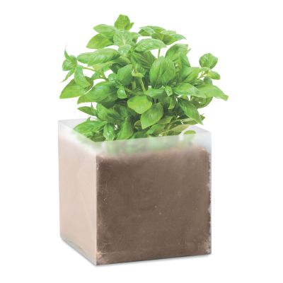 BASIL - Compost with seeds 